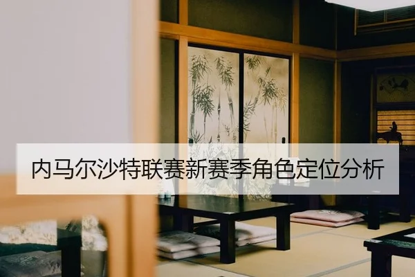 nei-ma-er-sha-te-lian-sai-xin-sai-ji-jue-se-ding-wei-fen-xi-2-448.jpg